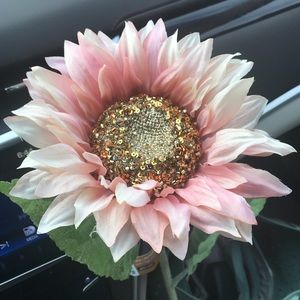 Meet your Posher, Faye